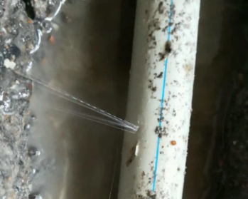 德阳卫生间测漏水多少钱